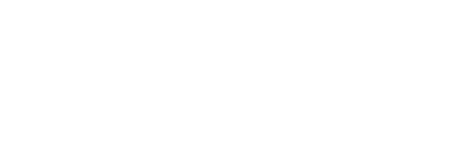 闪电猿